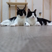 画像1389