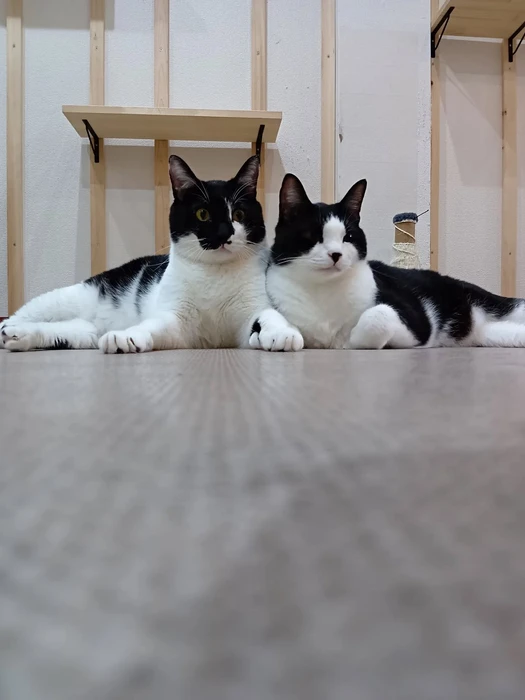 画像1389