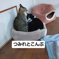 画像1391