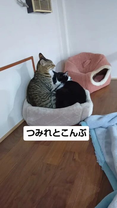 画像1391