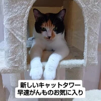 画像1393