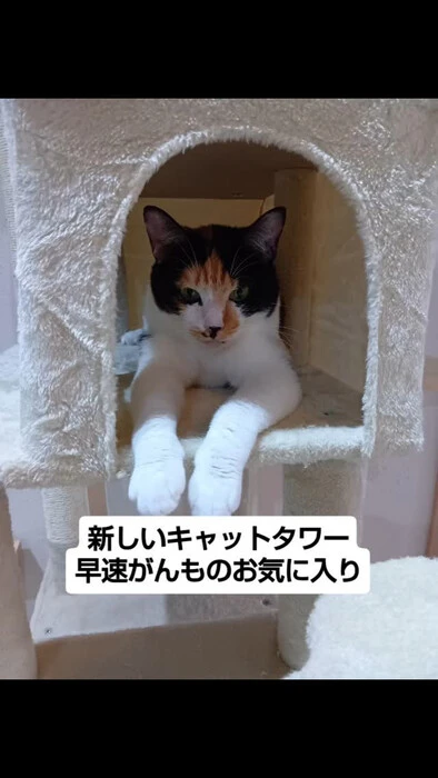 画像1393