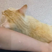 画像1395