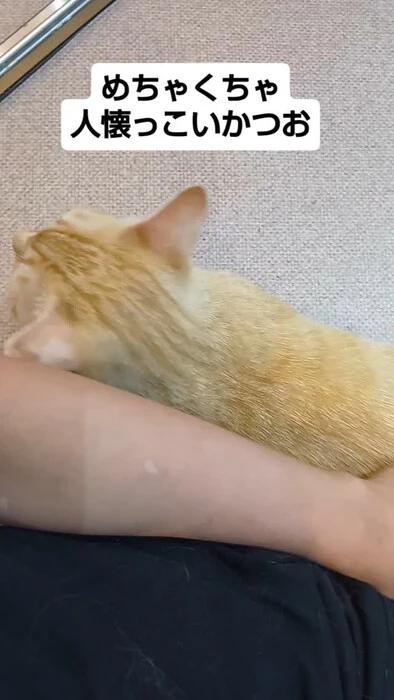 画像1395