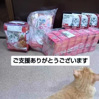 画像1399