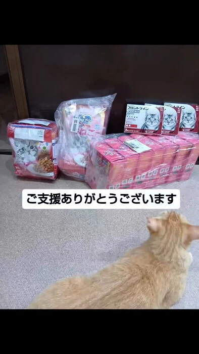 画像1399