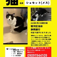 画像1401
