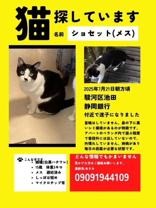 画像1401