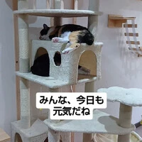 画像1403