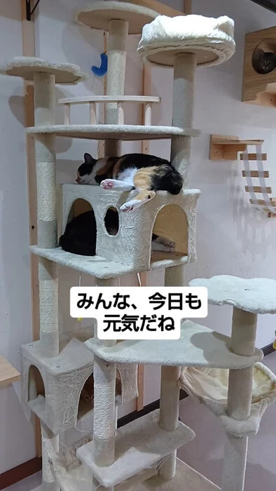 画像1403