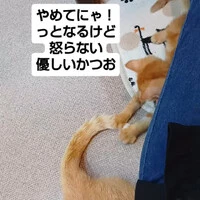 画像1405