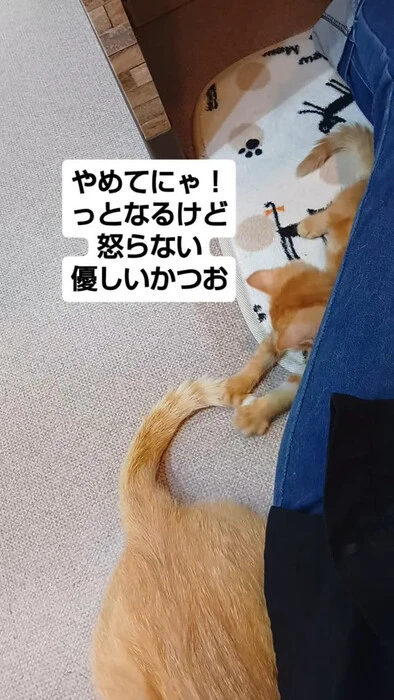 画像1405
