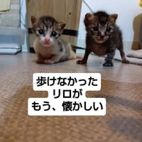 画像1407