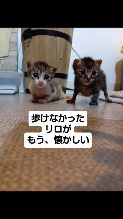 画像1407