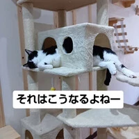 画像1409