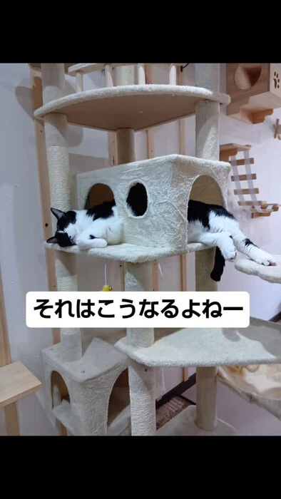 画像1409