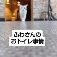 画像1411