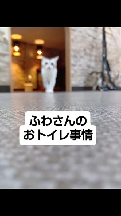 画像1411