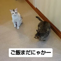 画像1413