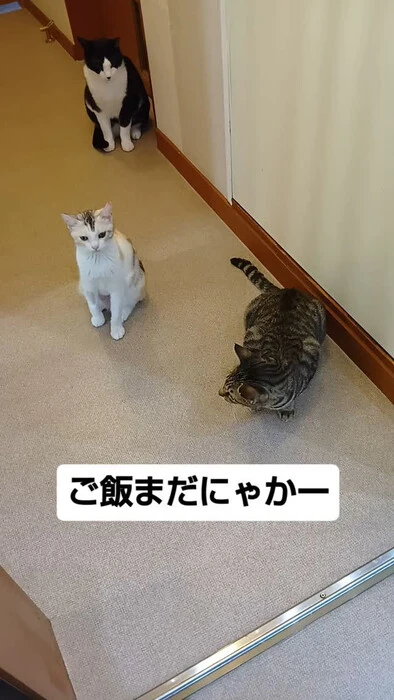 画像1413