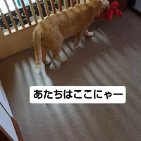 画像1415