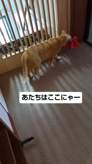 画像1415