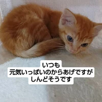 画像1417