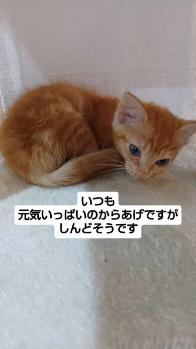 画像1417