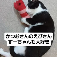 画像1419