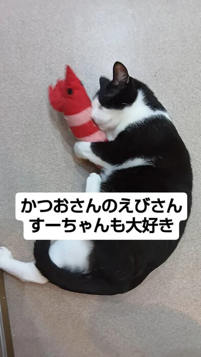 画像1419