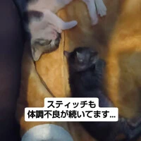 画像1421
