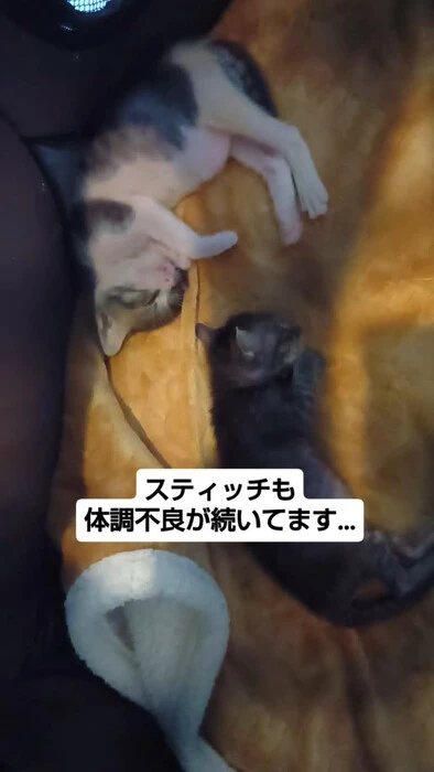 画像1421