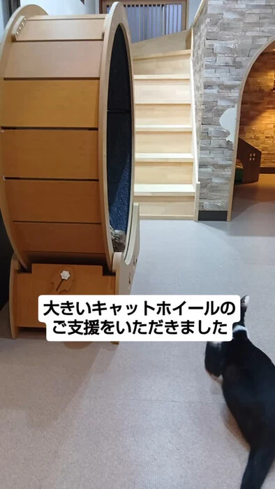 画像1423