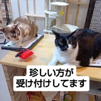 画像1425
