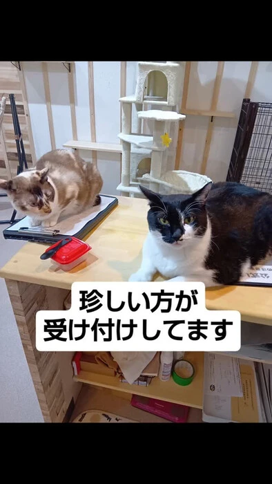 画像1425