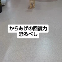 画像1427