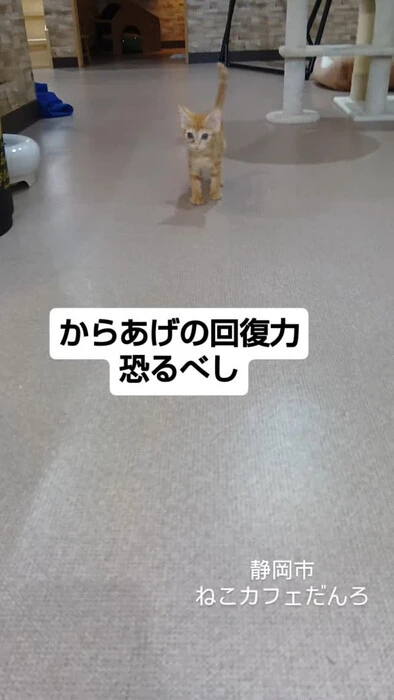 画像1427
