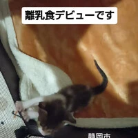 画像1429