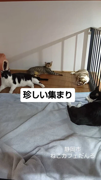 画像1431