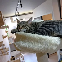 画像1434