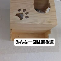 画像1439