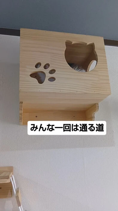 画像1439