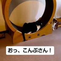 画像1441