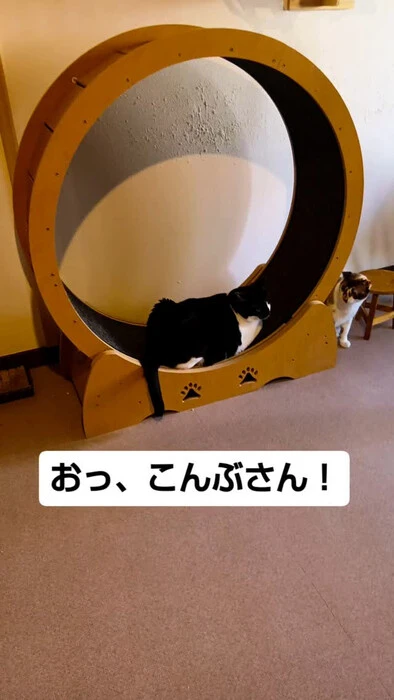 画像1441