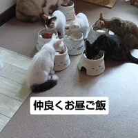 画像1443