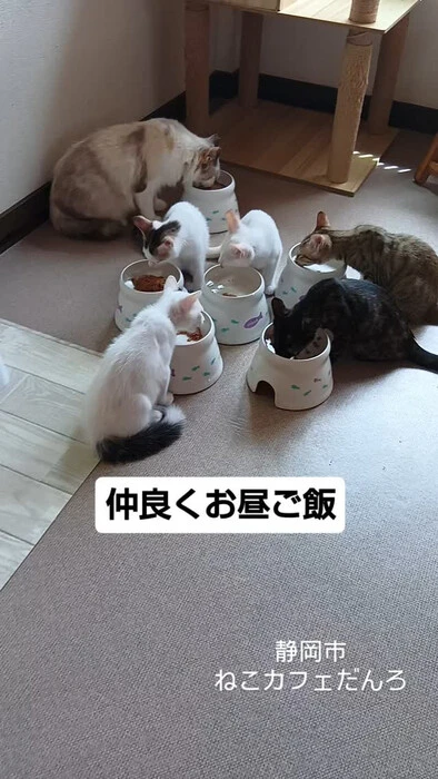 画像1443