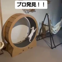 画像1445