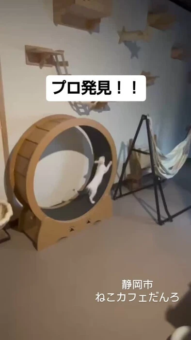 画像1445