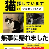 画像1447