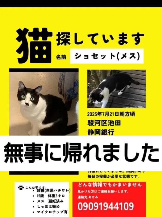 画像1447